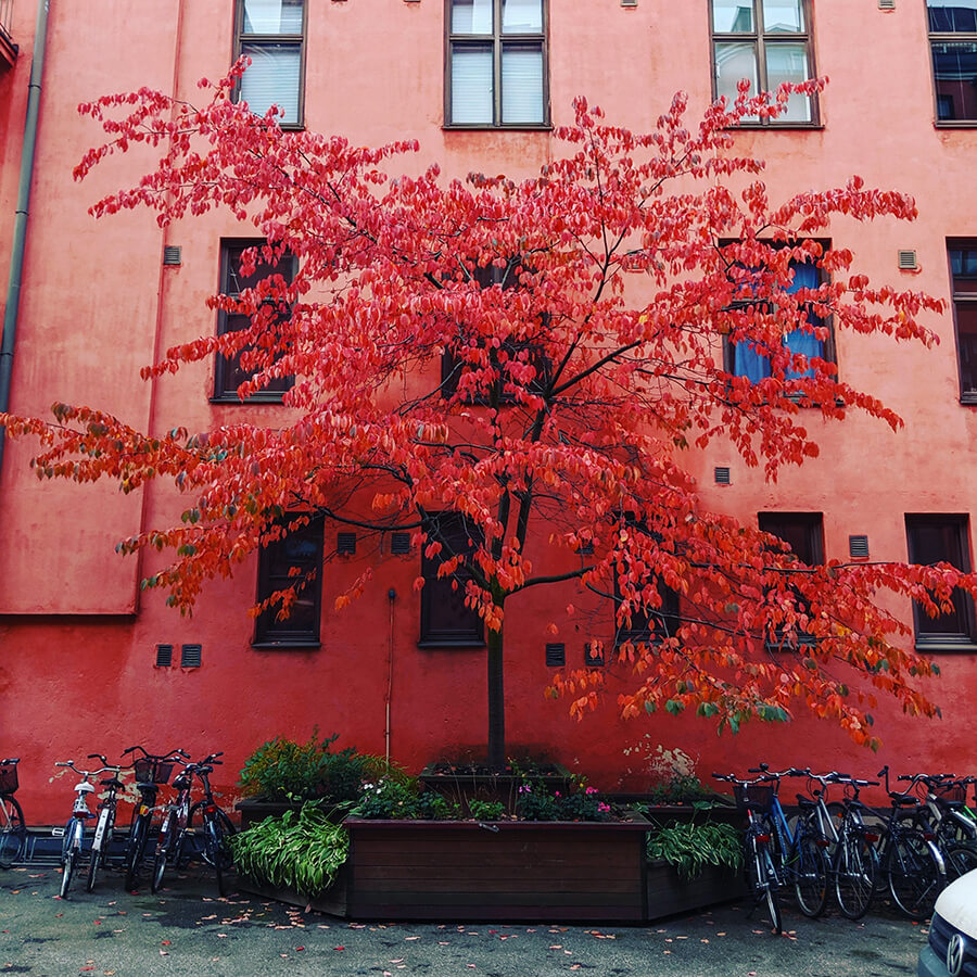 Helsinki