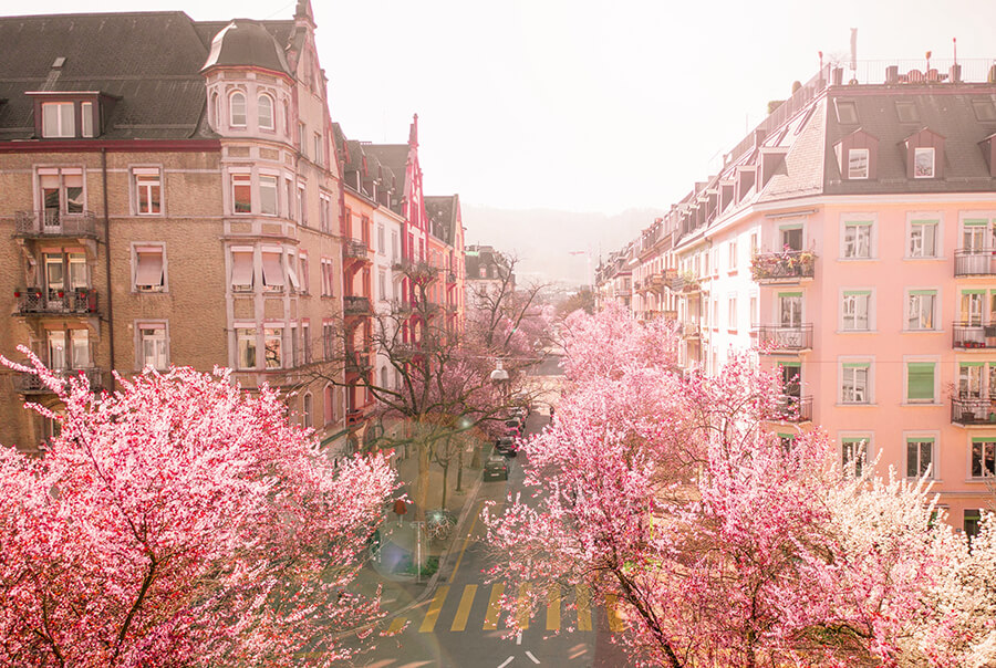Renting in Switzerland