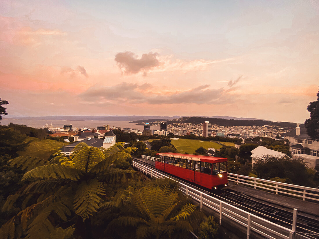 Economy of Wellington