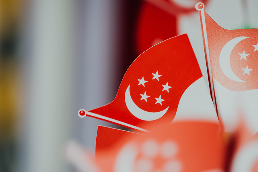 Singapore work visa